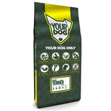 Yourdog Border Terriër Senior 12 Kg