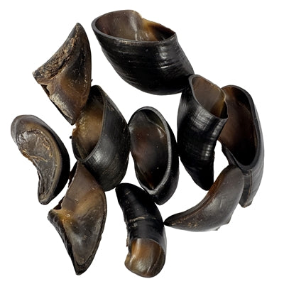 Petsnack Buffelhoef 10 St